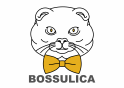 BOSSULICA - conceput si fabricat in Romania